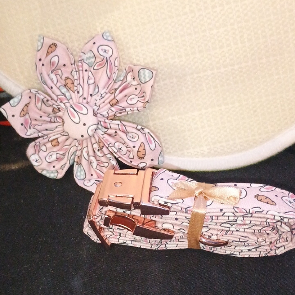 Adorable Easter Theme Dog Collar Size Medium